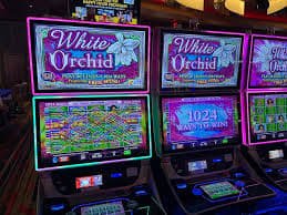 Live dealer Big Time Gaming table interface on mistikan angka platform
